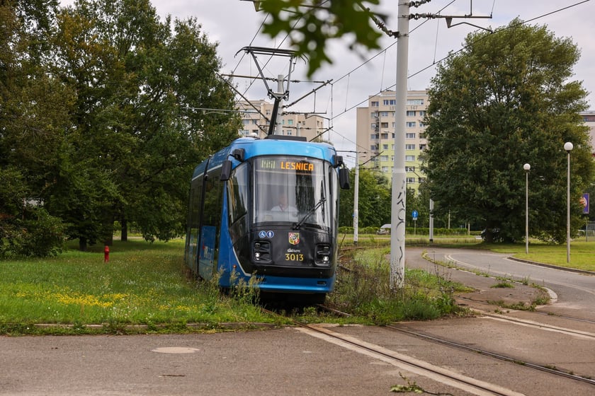 Stary most Pilczycki, 5 sierpnia 2024