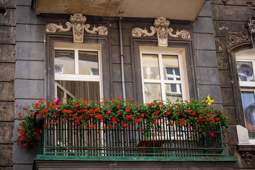 Kamienice i detale architektoniczne na ulicy Nowowiejskiej i sąsiednich ulicach