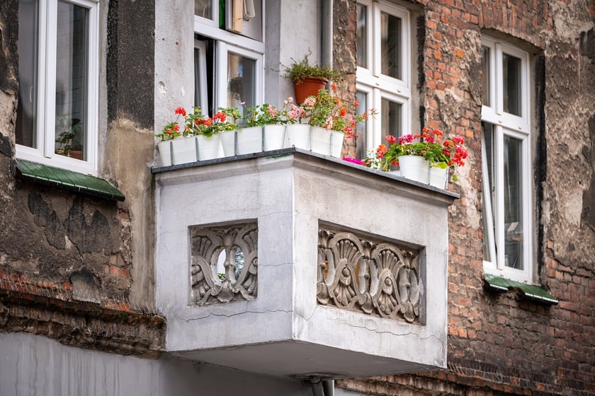Kamienice i detale architektoniczne na ulicy Nowowiejskiej i sąsiednich ulicach