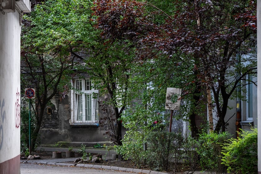 Kamienice i detale architektoniczne na ulicy Nowowiejskiej i sąsiednich ulicach