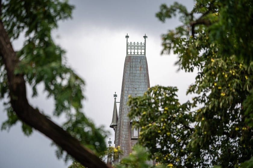 Kamienice i detale architektoniczne na ulicy Nowowiejskiej i sąsiednich ulicach