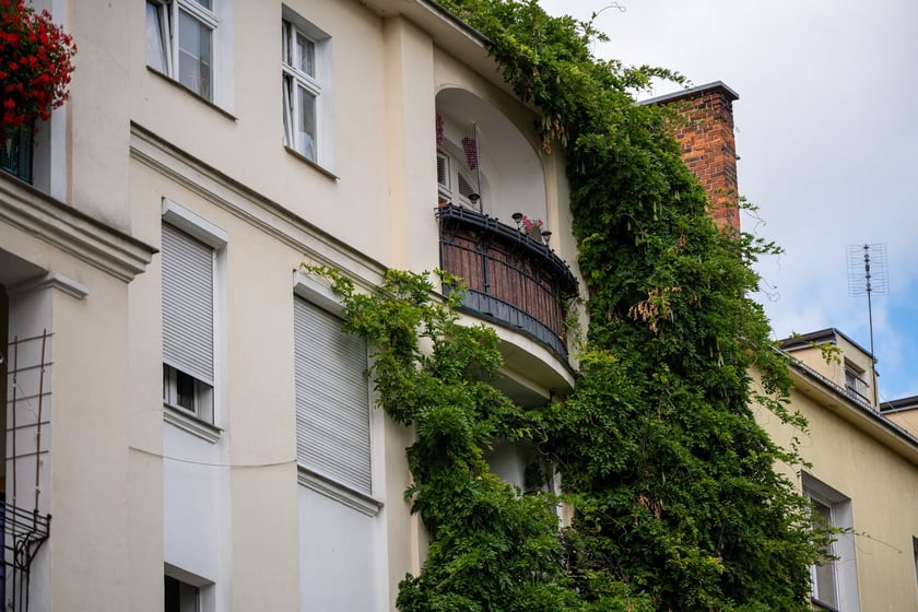 Kamienice i detale architektoniczne na ulicy Nowowiejskiej i sąsiednich ulicach