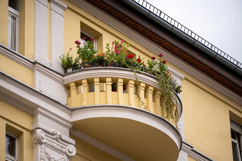 Kamienice i detale architektoniczne na ulicy Nowowiejskiej i sąsiednich ulicach