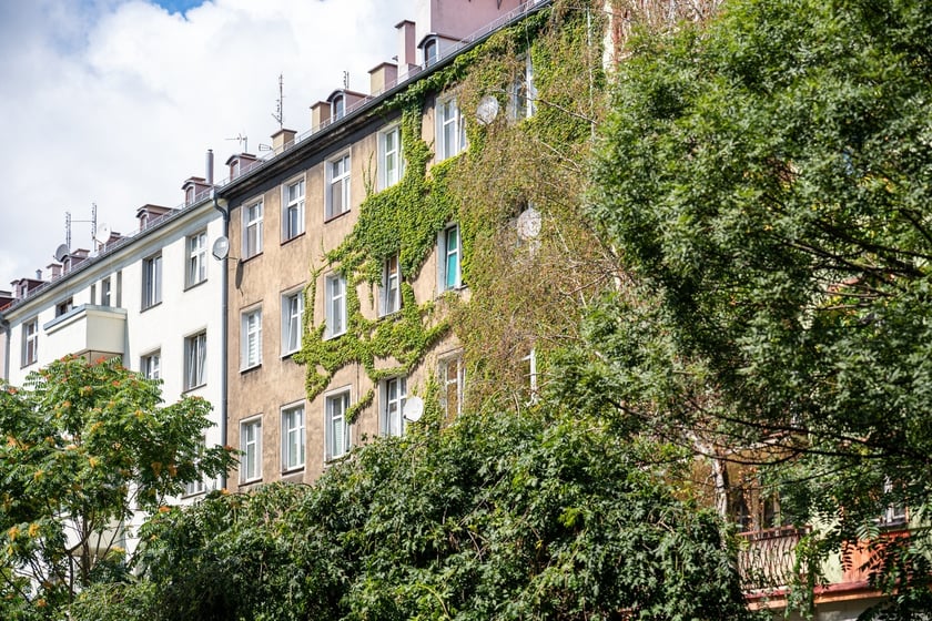 Kamienice i detale architektoniczne na ulicy Nowowiejskiej i sąsiednich ulicach