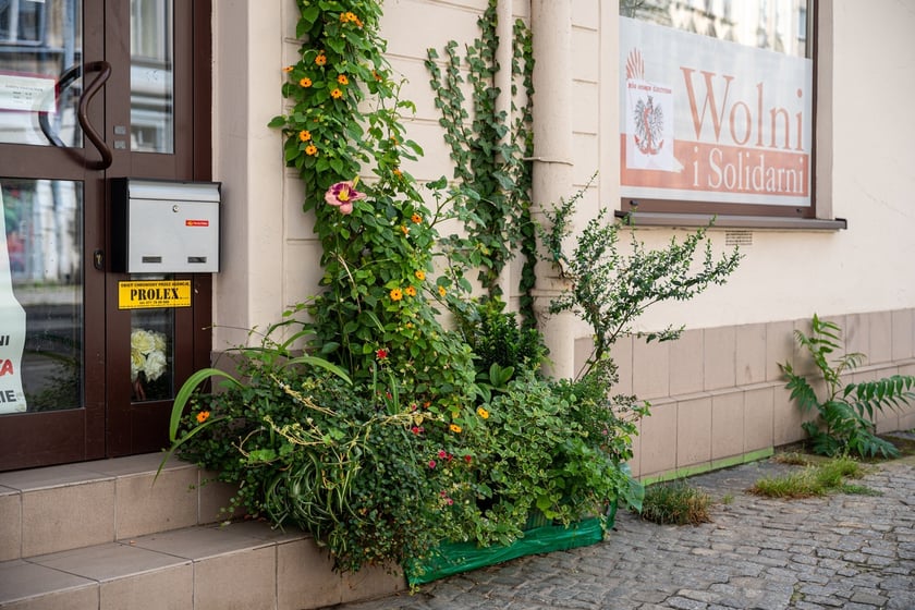 Kamienice i detale architektoniczne na ulicy Nowowiejskiej i sąsiednich ulicach