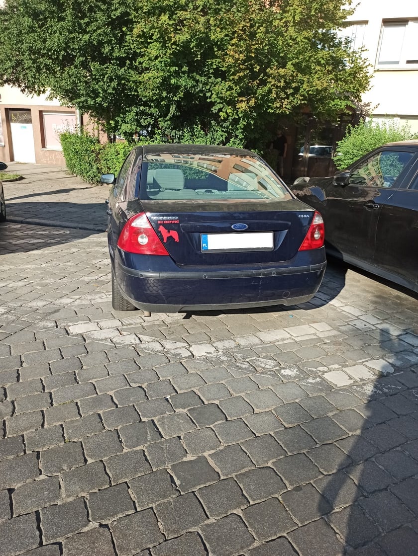 Przykłady nieprawidłowo zaparkowanych samochod&oacute;w