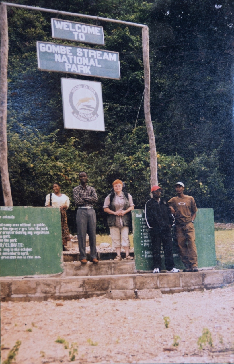 Elżbieta Gajewska w Parku Narodowym Gombe w Tanzanii
