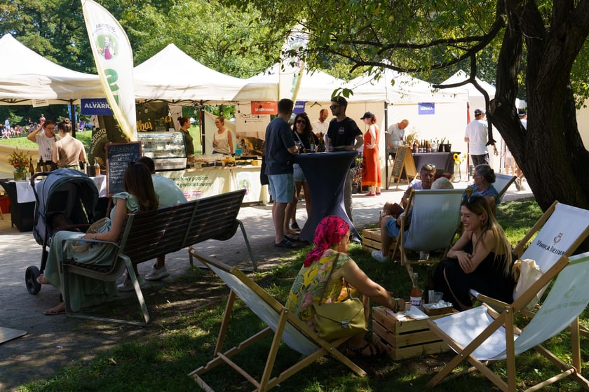 Stoiska na Gastro Miasto (24.08.2024)
