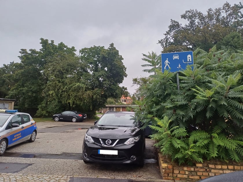 Przykłady nieprawidłowego parkowania