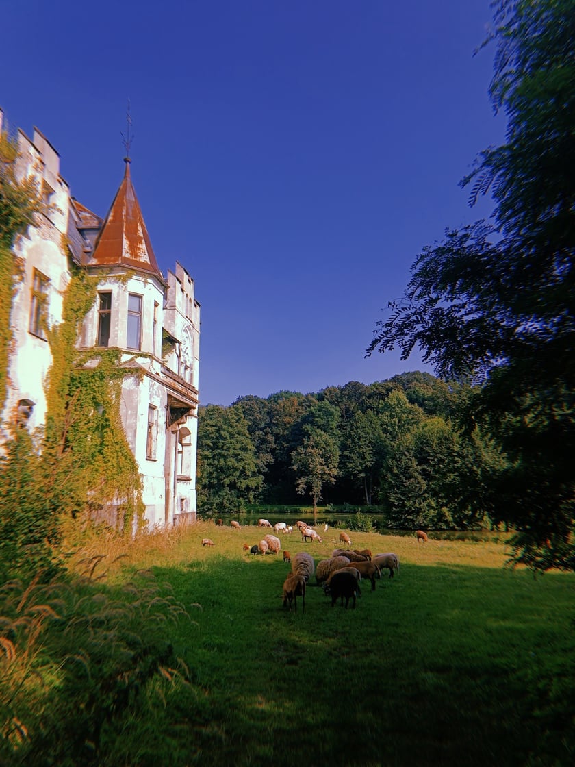 Wyprawa rowerowa Treviso-Wrocław