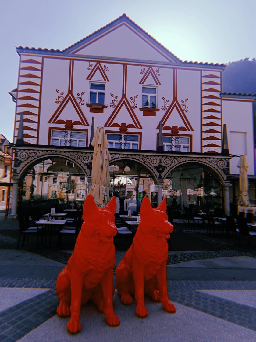Wyprawa rowerowa Treviso-Wrocław