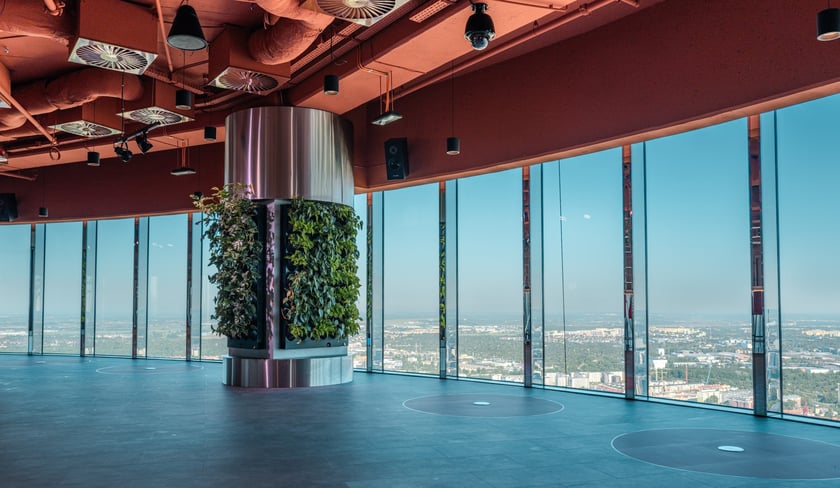 Taras widokowy w Sky Towerze