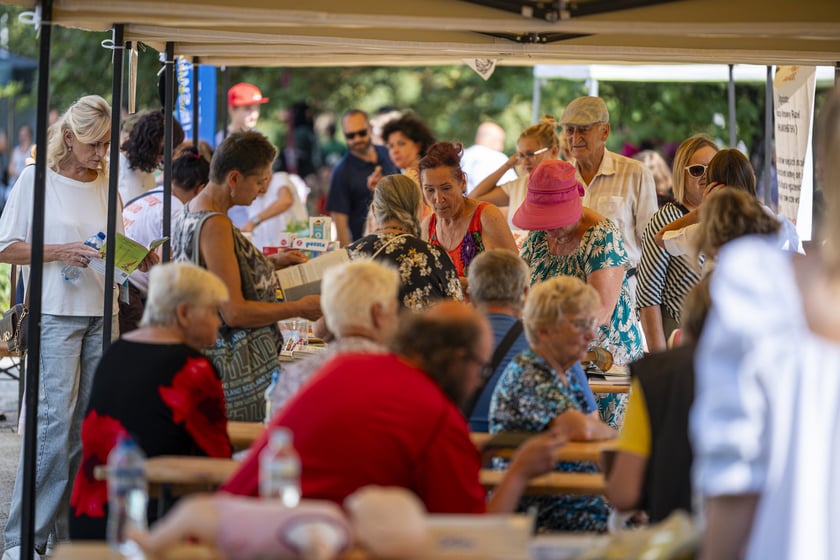 Festyn na Przedmieściu Świdnickim, 8 września 2024