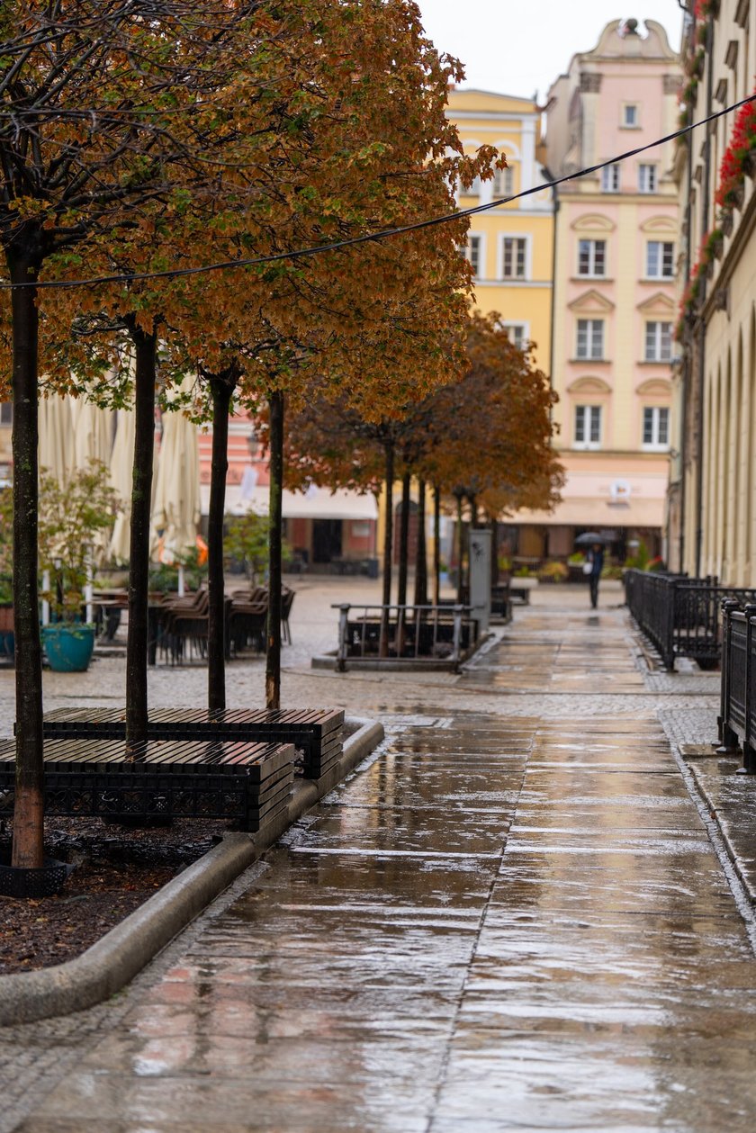 Deszcz we Wrocławiu
