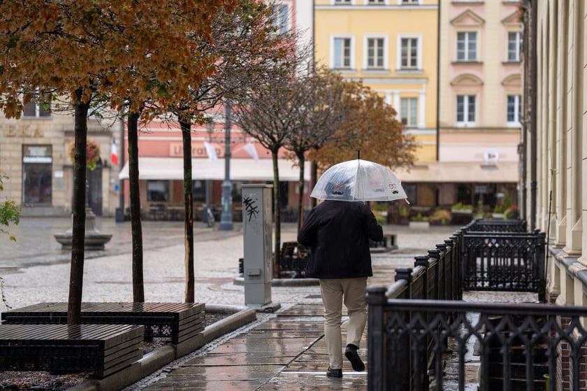 Deszcz we Wrocławiu