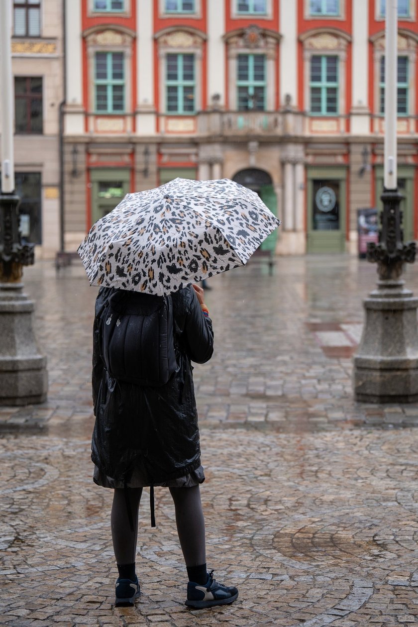 Deszcz we Wrocławiu