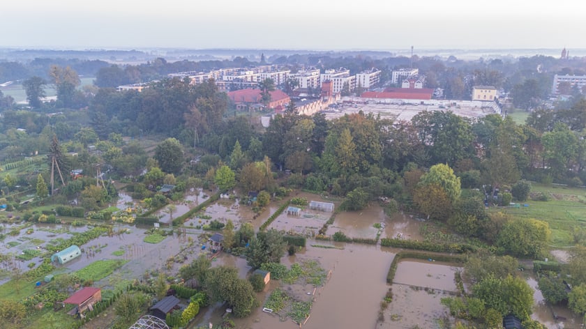Marszowice z góry, poranek 18 września 2024