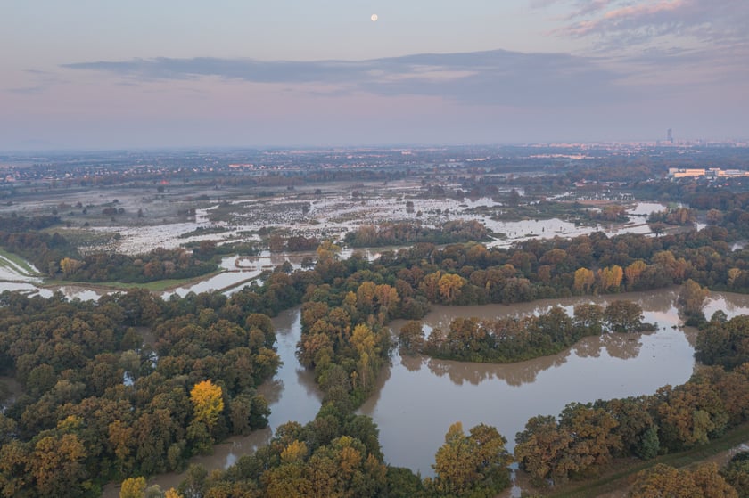 Polder Oławka i wylewająca się na wysokości Blizanowic na pola Odra - 19.09.2024