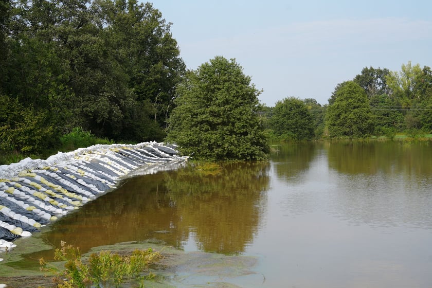 Marszowice nad Bystrzycą, 19 września 2024
