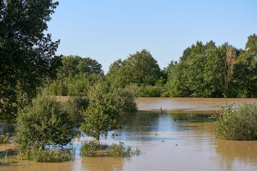 Patrol policyjny na Odrze we Wrocławiu