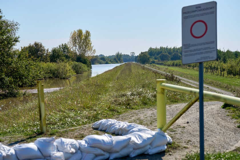 Patrol policyjny na Odrze we Wrocławiu