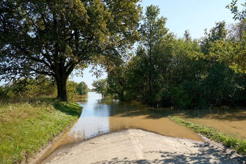 Patrol policyjny na Odrze we Wrocławiu