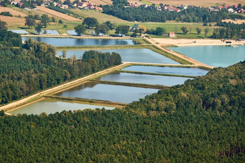 Wrocław z lotu ptaka. Zdjęcia lotnicze z powodzi [21 września]