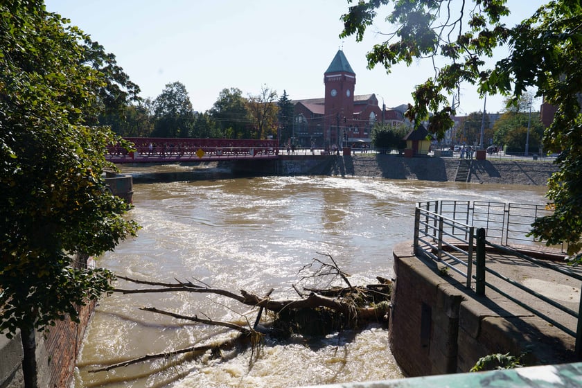 Mieszkańcy Wrocławia spacerują nad Odrą 22.09.2024