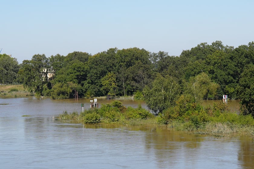 Most Milenijny nad Odrą we Wrocławiu: Dobry widok na Odrę