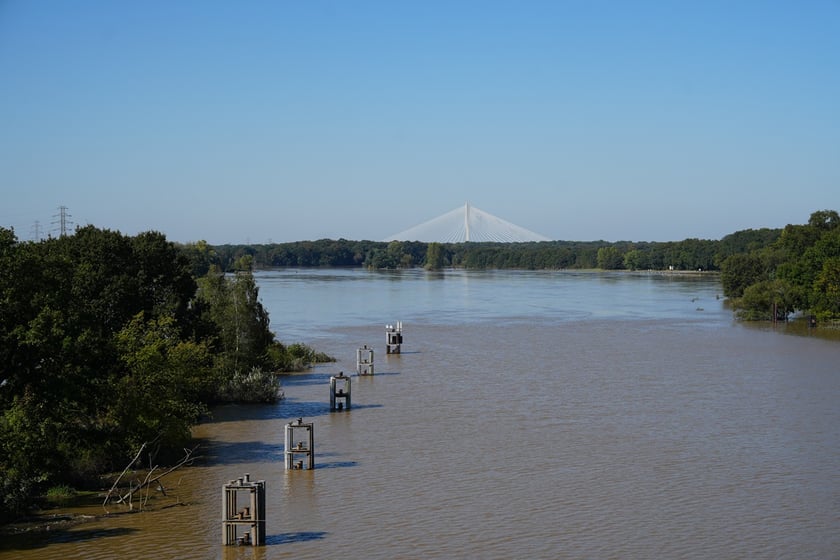Most Milenijny nad Odrą we Wrocławiu: Dobry widok na Odrę