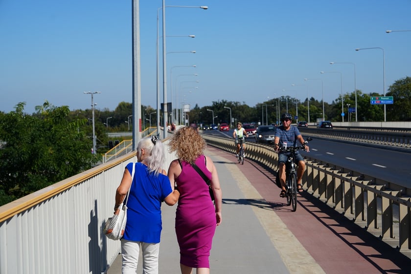 Most Milenijny nad Odrą we Wrocławiu: Dobry widok na Odrę