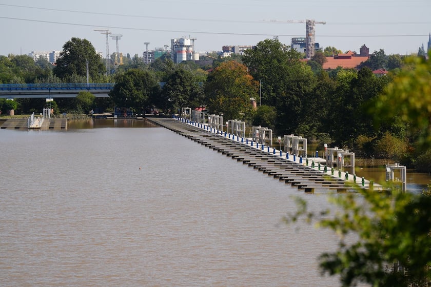 Most Milenijny nad Odrą we Wrocławiu: Dobry widok na Odrę