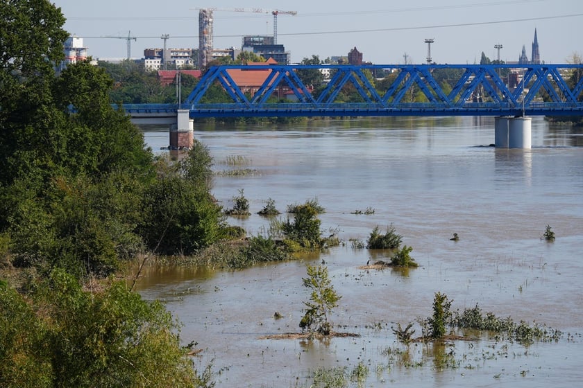 Most Milenijny nad Odrą we Wrocławiu: Dobry widok na Odrę