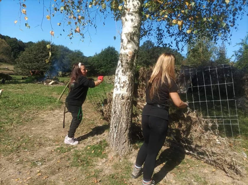 Wolontariusze Ekostaży z pomocą na Dolnym Śląsku