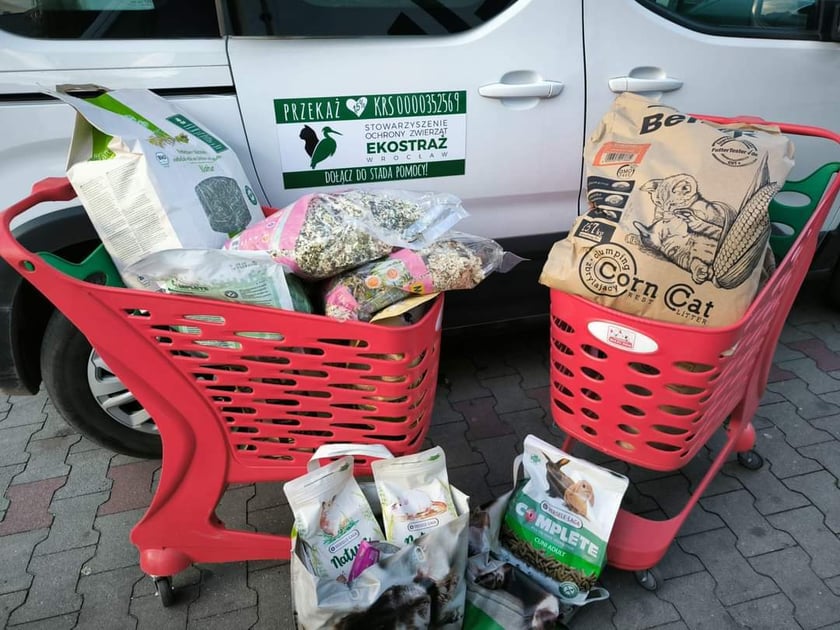 Wolontariusze Ekostaży z pomocą na Dolnym Śląsku