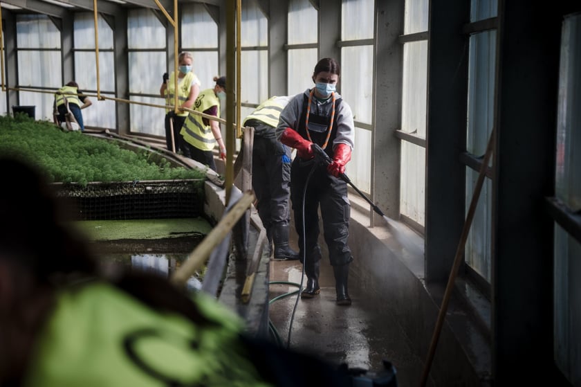 Harcerze pomagają w osuszaniu zalanych budynk&oacute;w