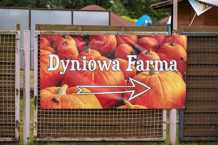 Dynowa Farma przy ul. Wróblewskiego 9, 05.10.2024