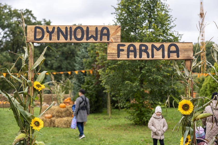 Dynowa Farma przy ul. Wróblewskiego 9, 05.10.2024