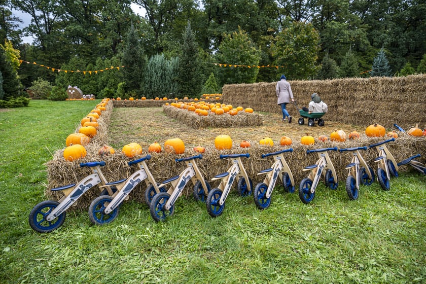 Dynowa Farma przy ul. Wróblewskiego 9, 05.10.2024