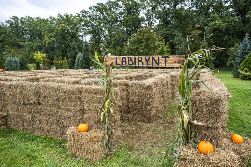 Dynowa Farma przy ul. Wróblewskiego 9, 05.10.2024
