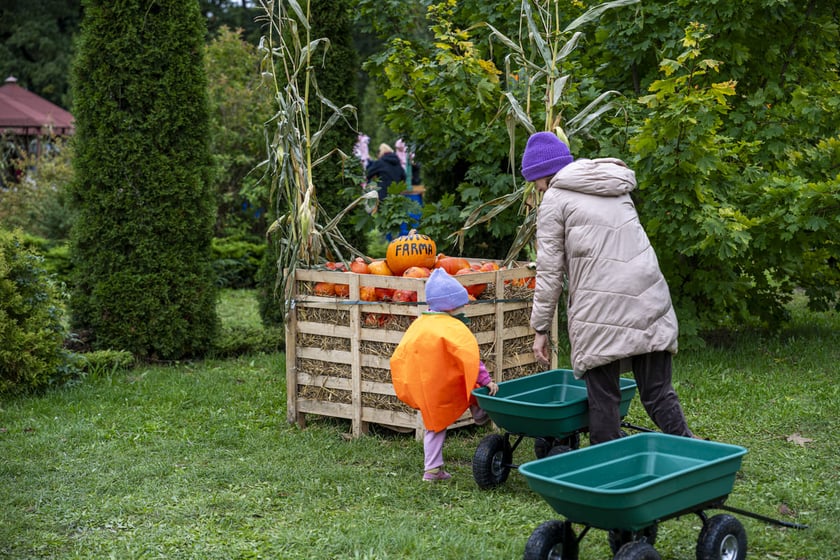 Dynowa Farma przy ul. Wróblewskiego 9, 05.10.2024