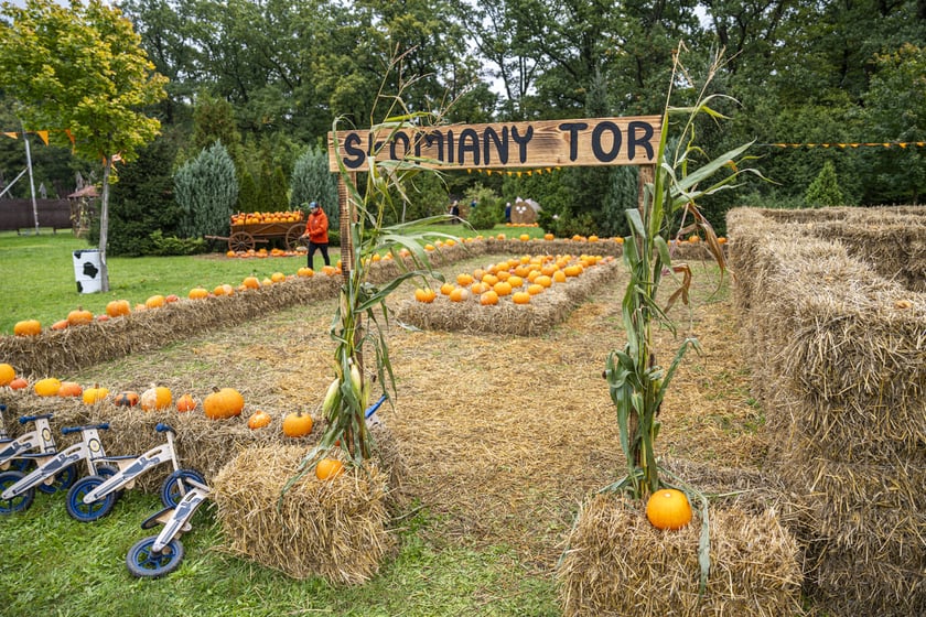 Dynowa Farma przy ul. Wróblewskiego 9, 05.10.2024