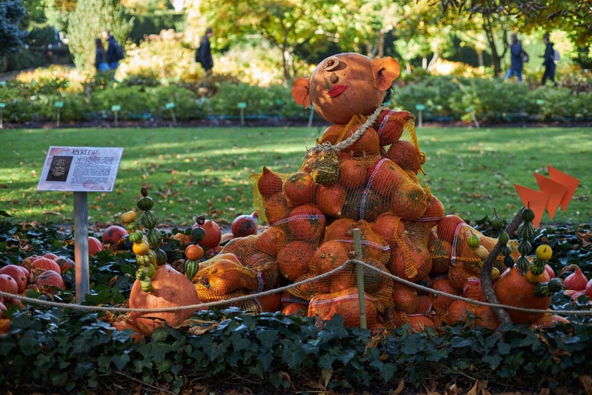 Festiwal Dyni w Ogrodzie Botanicznym 2022