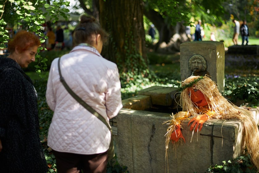 Festiwal Dyni w Ogrodzie Botanicznym 2022