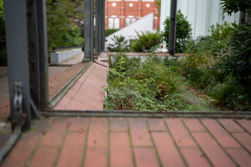 Podpisanie umowy o budowie Palmiarni w Ogrodzie Botanicznym we Wrocławiu