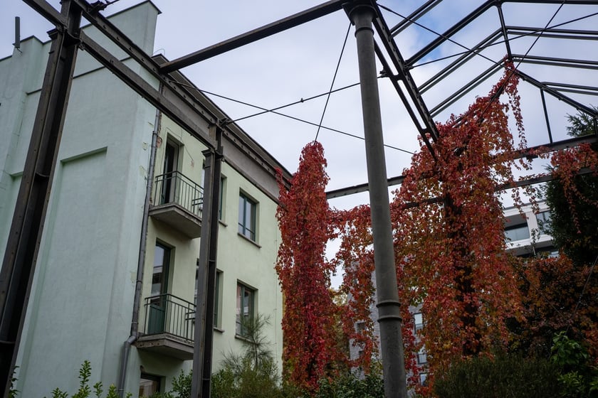 Podpisanie umowy o budowie Palmiarni w Ogrodzie Botanicznym we Wrocławiu