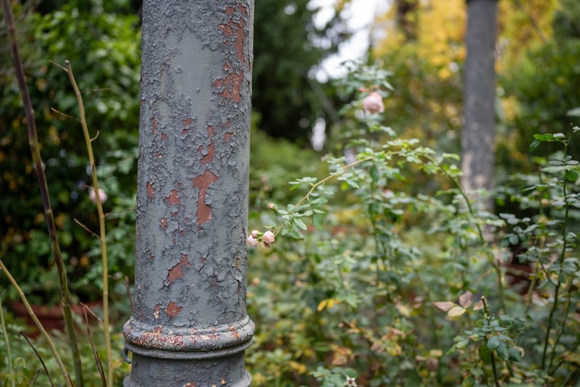 Podpisanie umowy o budowie Palmiarni w Ogrodzie Botanicznym we Wrocławiu