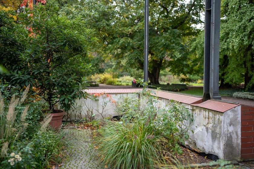 Podpisanie umowy o budowie Palmiarni w Ogrodzie Botanicznym we Wrocławiu