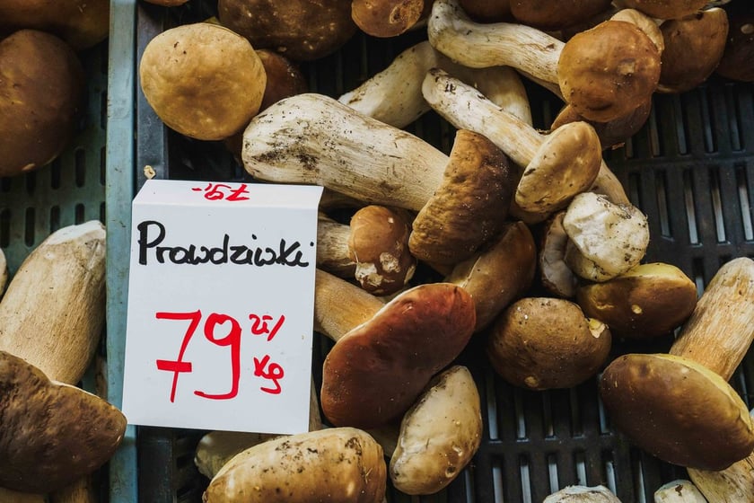 Stoiska z grzybami w Hali Targowej we Wrocławiu