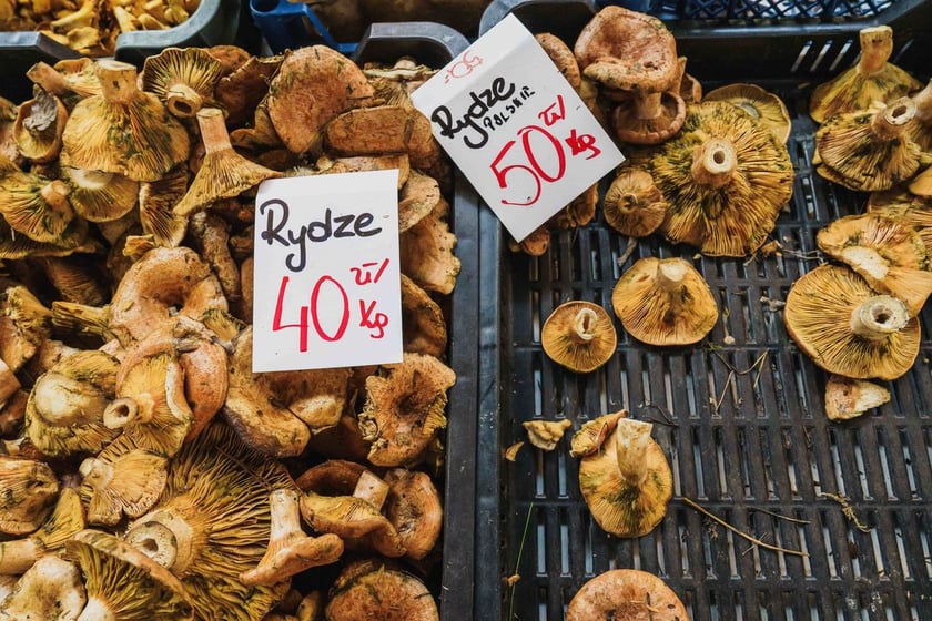 Stoiska z grzybami w Hali Targowej we Wrocławiu
